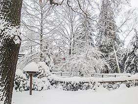 Parkresidenz Hohenstein-Ernstthal image-61645