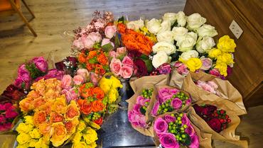 image-84110