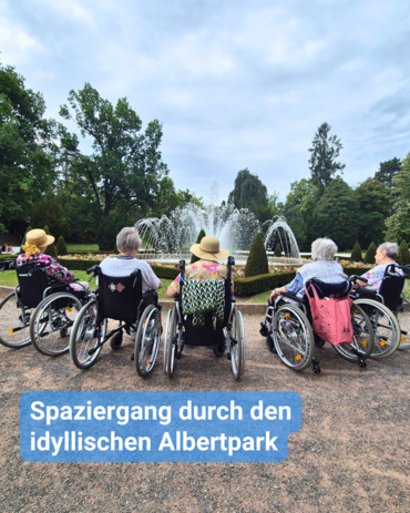 Fünf Personen im Rollstuhl blicken auf eine große Wasserfontäne in einem Park. Text: 'Spaziergang durch den idyllischen Albertpark'.