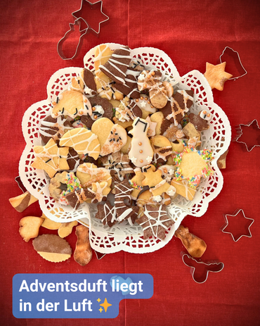 Teller mit vielfältigen, weihnachtlich dekorierten Plätzchen auf roter Tischdecke, umgeben von Ausstechformen. Selbst gebackene Adventskekse aus dem Seniorenpflegeheim Haus Steinwaldblick.