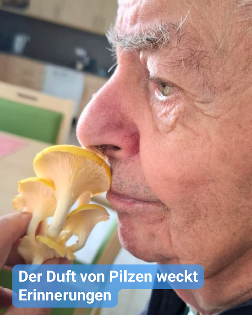 Ein Senior riecht an einem Limonenseitling. Bildbeschriftung: Der Duft von Pilzen weckt Erinnerungen