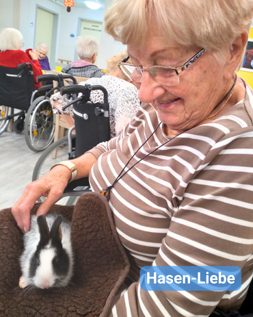 Seniorin im braun-weiß gestreiften Pullover hat einen Hasen auf dem Schoß und streichelt ihn. Bildbeschriftung: „Hasen-Liebe“