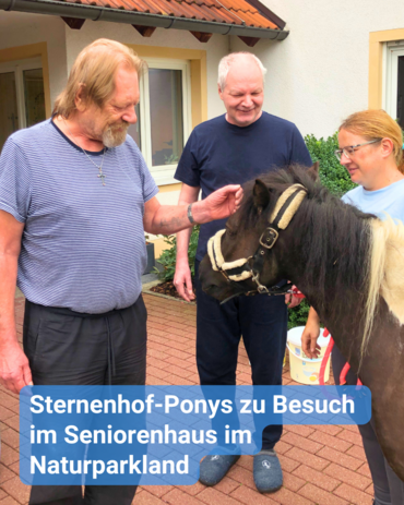 Zwei ältere Herren streicheln den Kopf eines Ponys. Das Pony wird von der Trainerin am Halfter gehalten. Bildbeschriftung: Sternenhof-Ponys zu Besuch im Seniorenhaus im Naturparkland